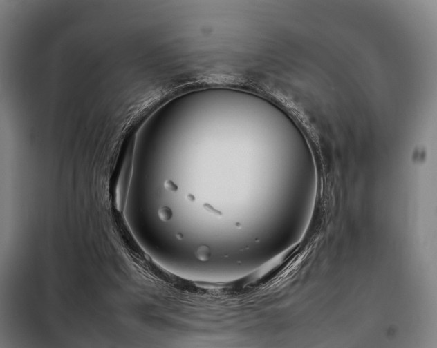 X0000098120201200804041415