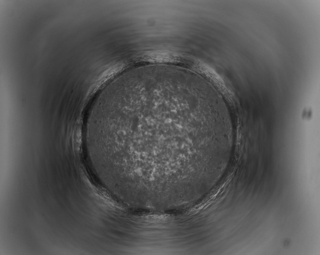 X0000098120202200804041415