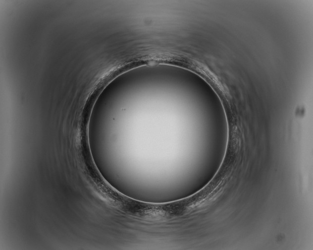 X0000098120203200804041415