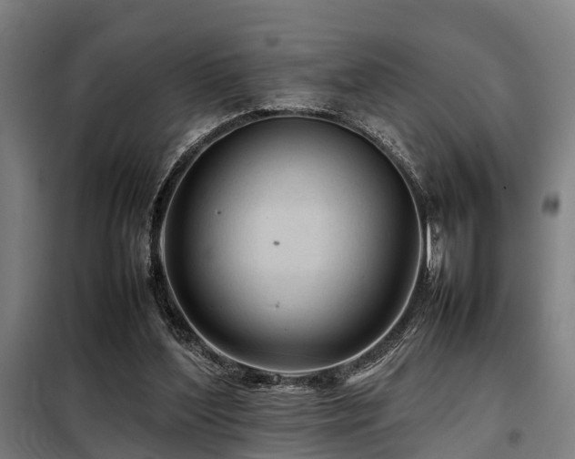 X0000098120204200804041415