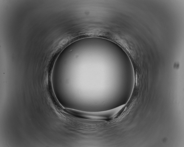 X0000098120205200804041415