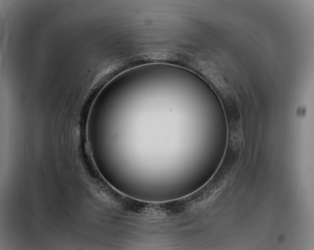 X0000098120207200804041415
