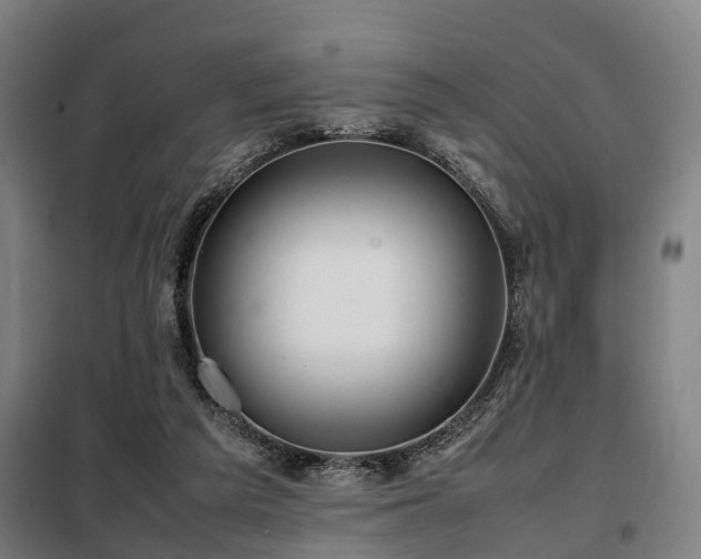 X0000098120209200804041415