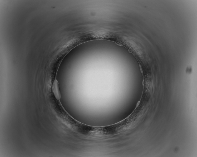 X0000098120211200804041415