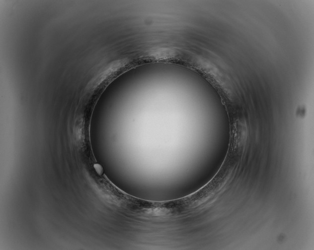 X0000098120212200804041415