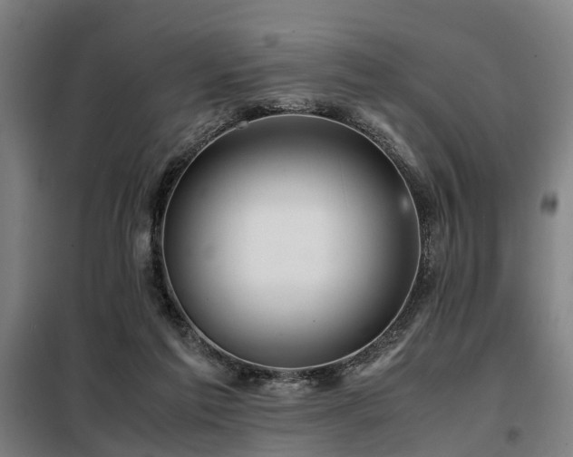 X0000098120213200804041415