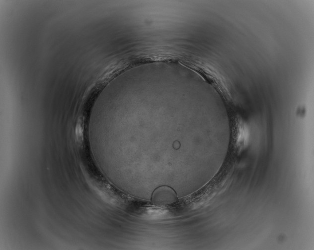 X0000098120214200804041415