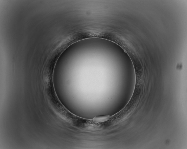 X0000098120215200804041415