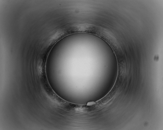 X0000098120216200804041415