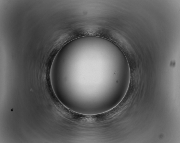 X0000098120217200804041415
