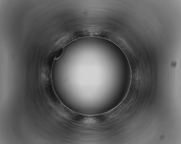 X0000098120218200804041415