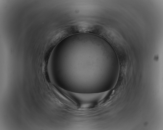 X0000098120219200804041415