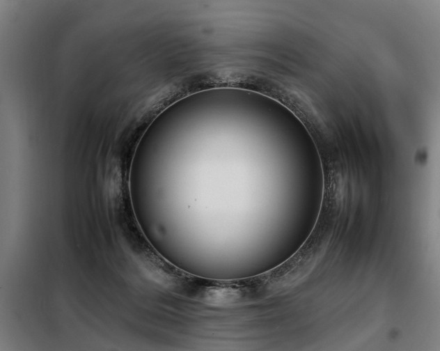 X0000098120220200804041415