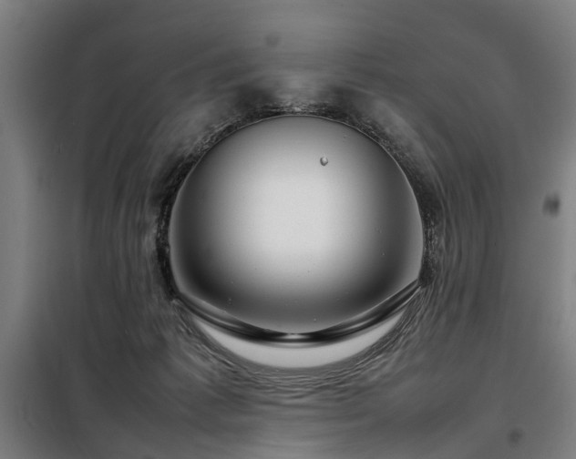 X0000098120221200804041415