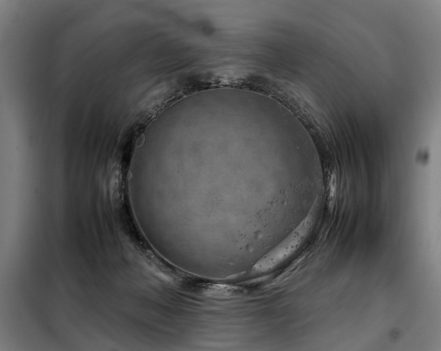 X0000098120222200804041415