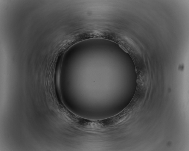 X0000098120223200804041415