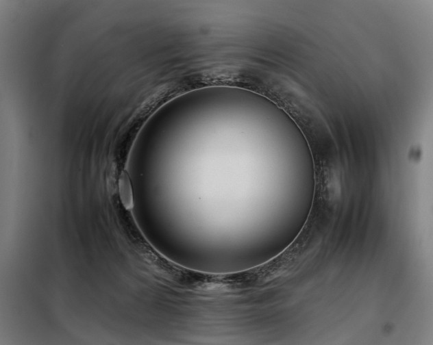 X0000098120224200804041415