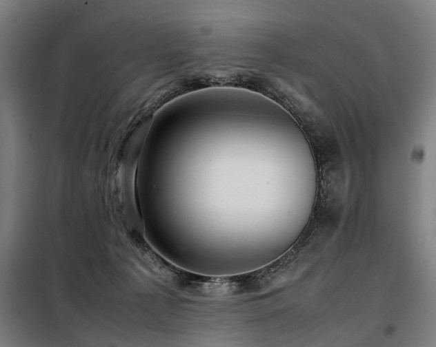 X0000098120225200804041415