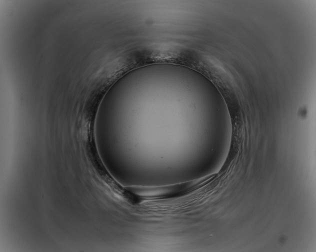 X0000098120227200804041415