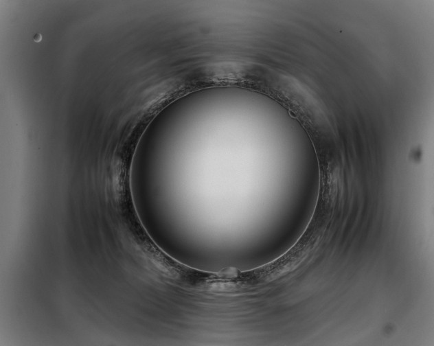 X0000098120228200804041415