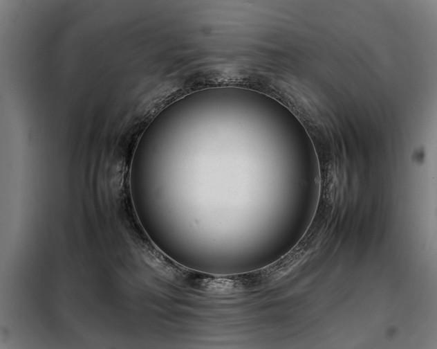 X0000098120230200804041415