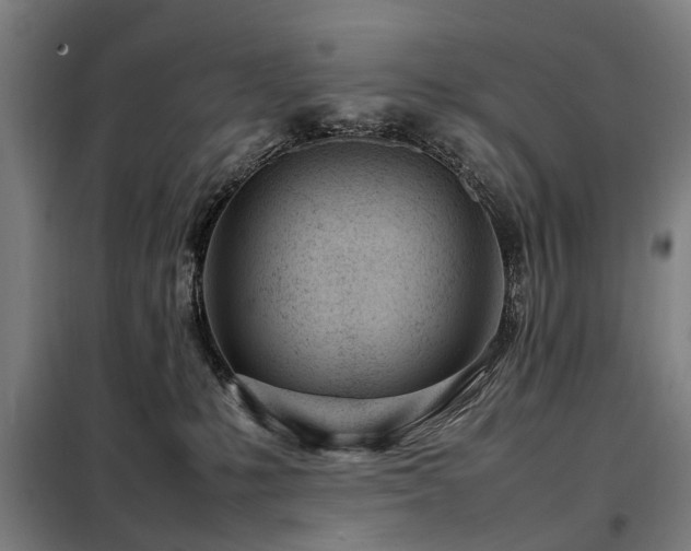 X0000098120231200804041415