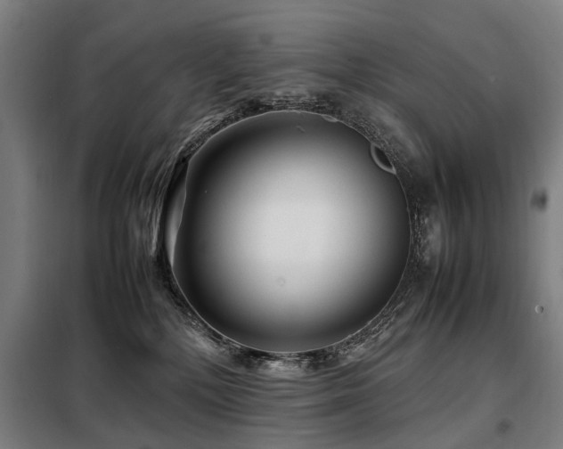X0000098120232200804041415