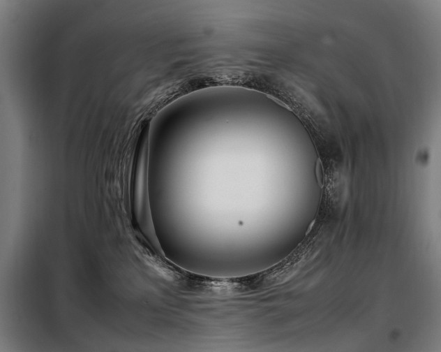 X0000098120233200804041415