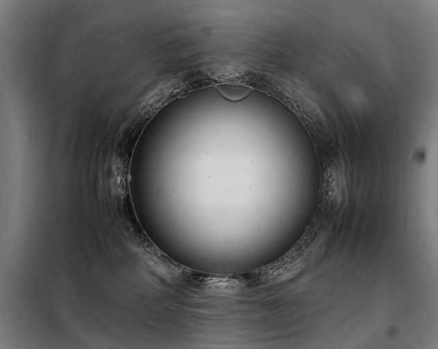 X0000098120234200804041415