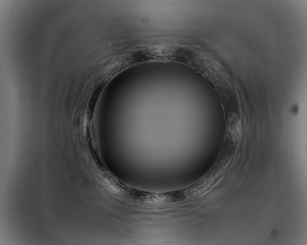 X0000098120235200804041415