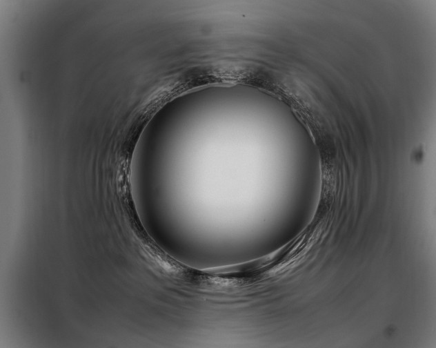 X0000098120237200804041415