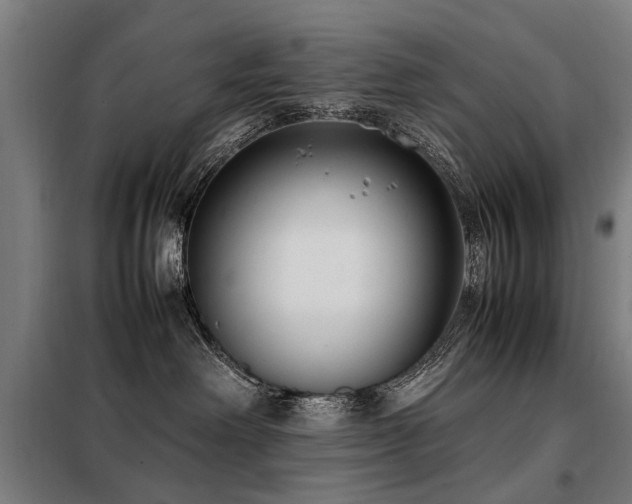 X0000098120238200804041415