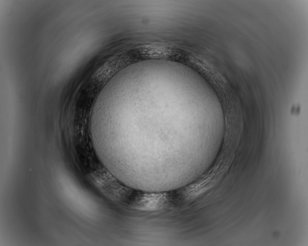 X0000098120240200804041415