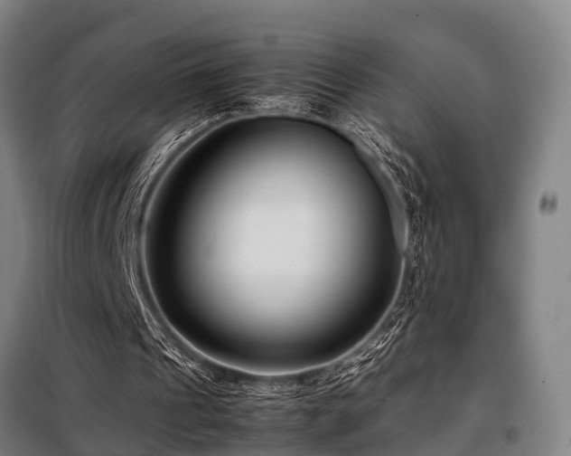 X0000098120241200804041414