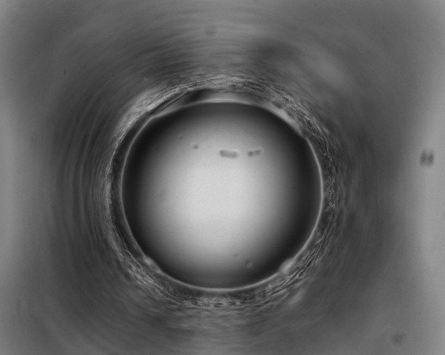 X0000098120242200804041414