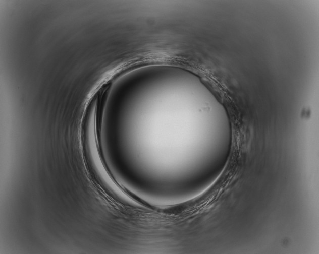 X0000098120244200804041414