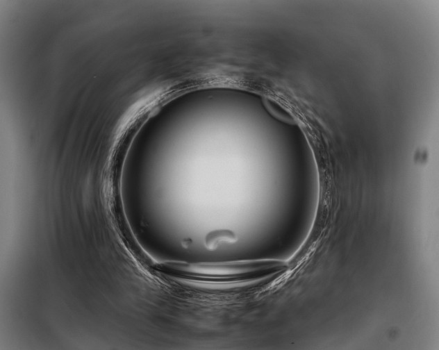 X0000098120245200804041414