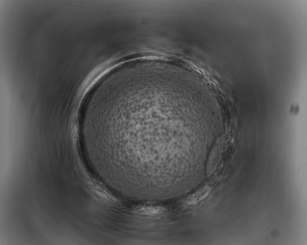 X0000098120247200804041414
