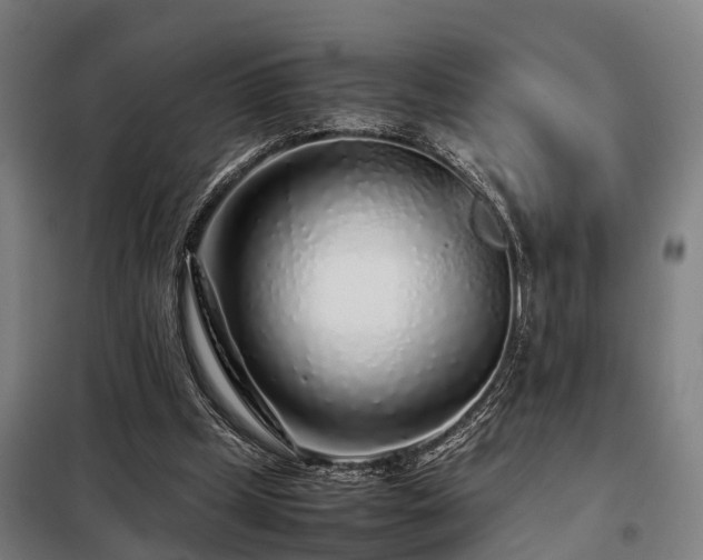 X0000098120249200804041414