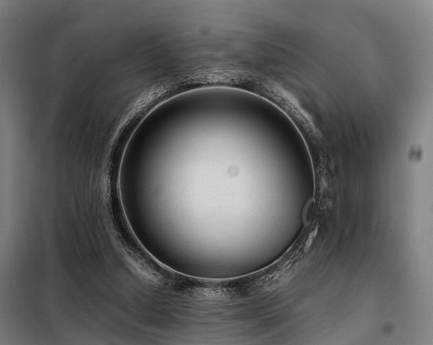 X0000098120250200804041414