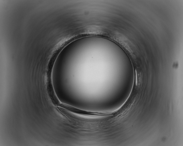 X0000098120252200804041414