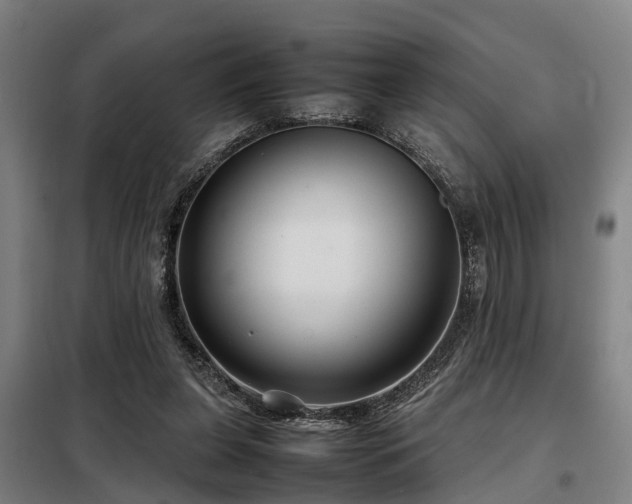 X0000098120255200804041414
