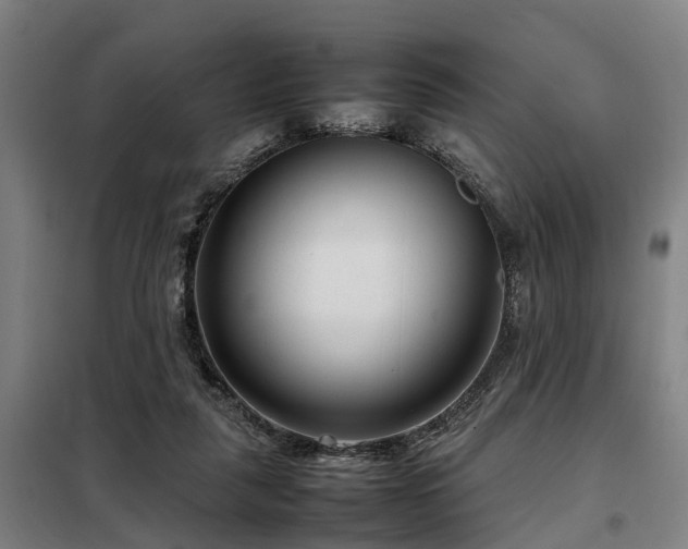 X0000098120259200804041414