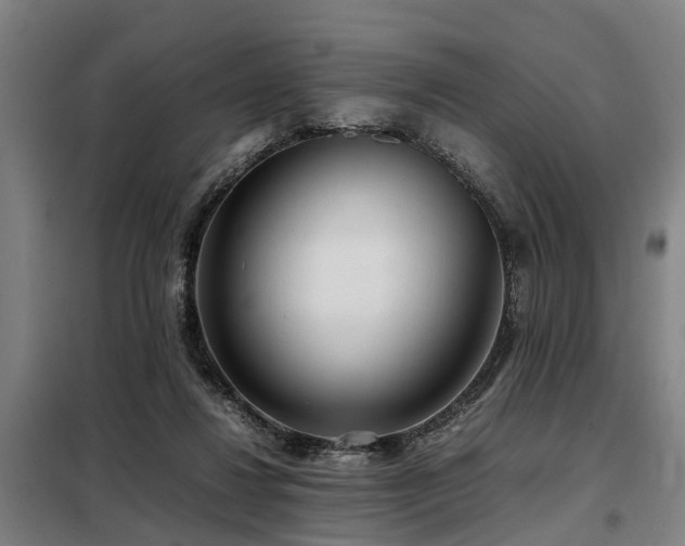 X0000098120260200804041414