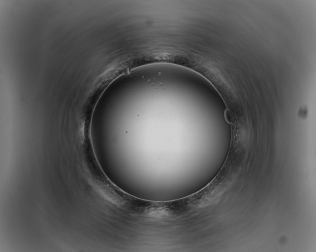 X0000098120262200804041415