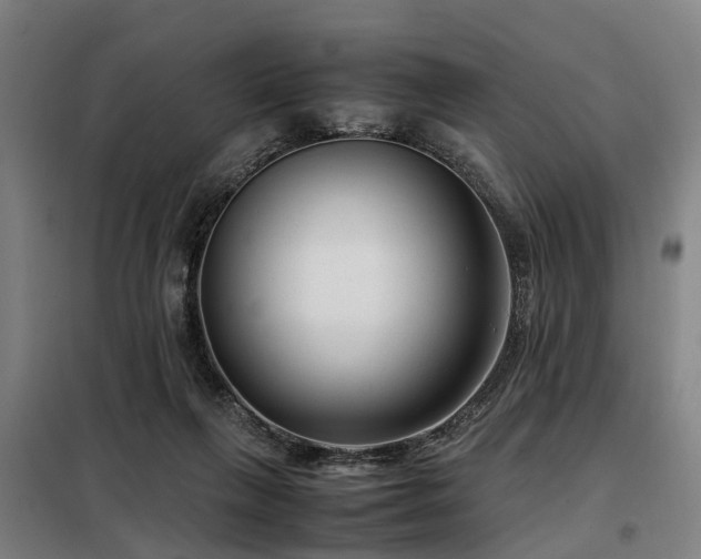 X0000098120263200804041415