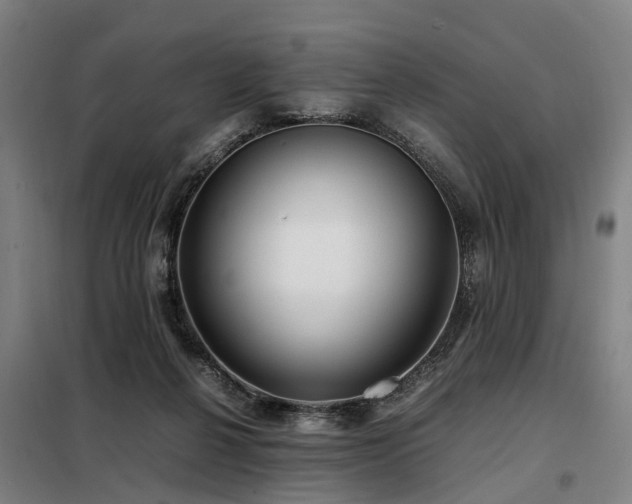 X0000098120264200804041415