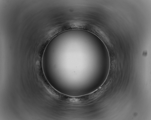 X0000098120265200804041415