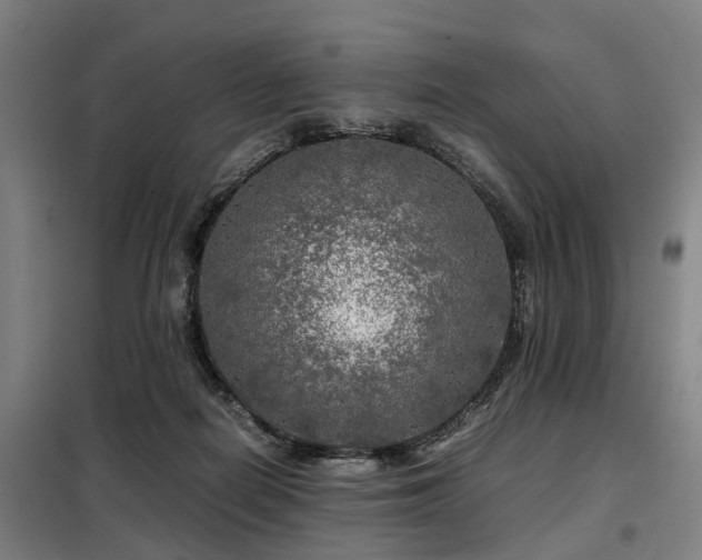X0000098120266200804041415