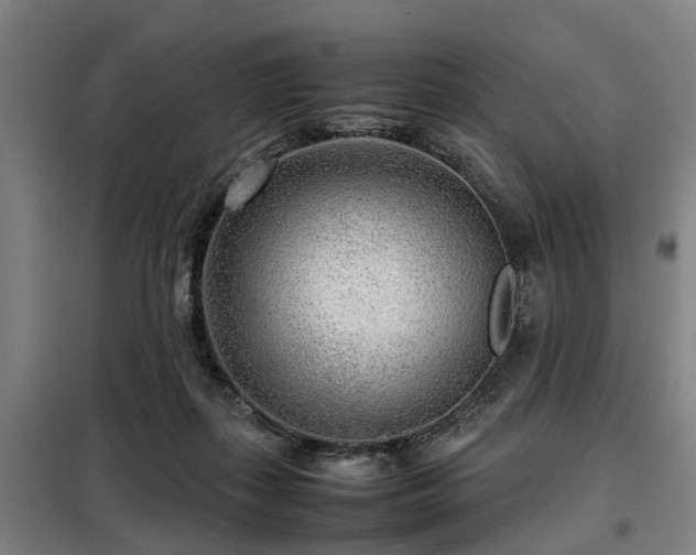 X0000098120267200804041415